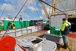 Accurate weighing on board fishing vessels