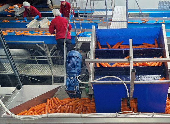 Agro-processing Industry Agro-processing Industry