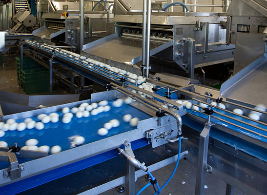 Food and Beverage Industry Food and Beverage Industry